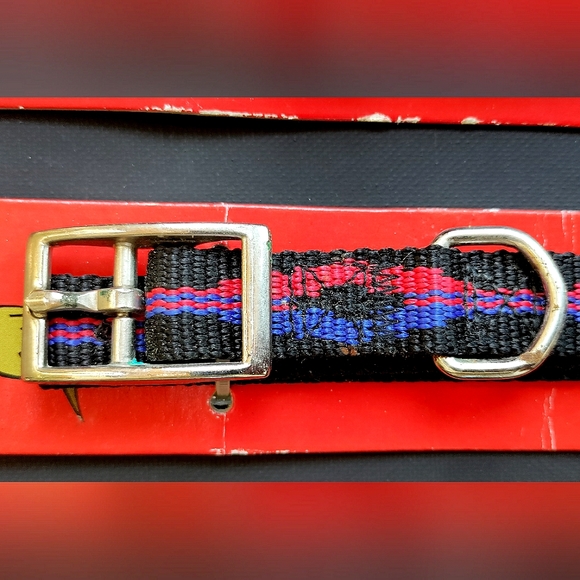 NEW Doggie Collar 18" & Leash 40"  Matching Set! Design. Durable. Colorful. - Picture 4 of 5